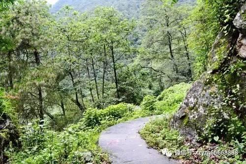 盛亚峰辞别中国太保 现任申能财险法定代表人